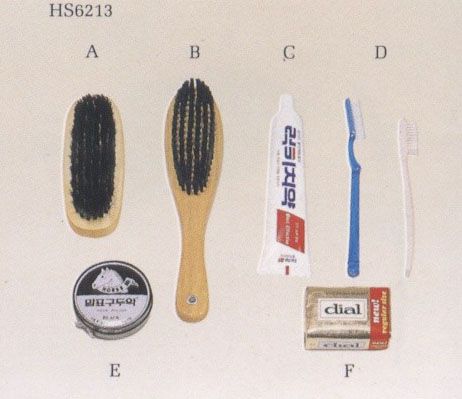 HS6213 BRUSH ETC.jpg
